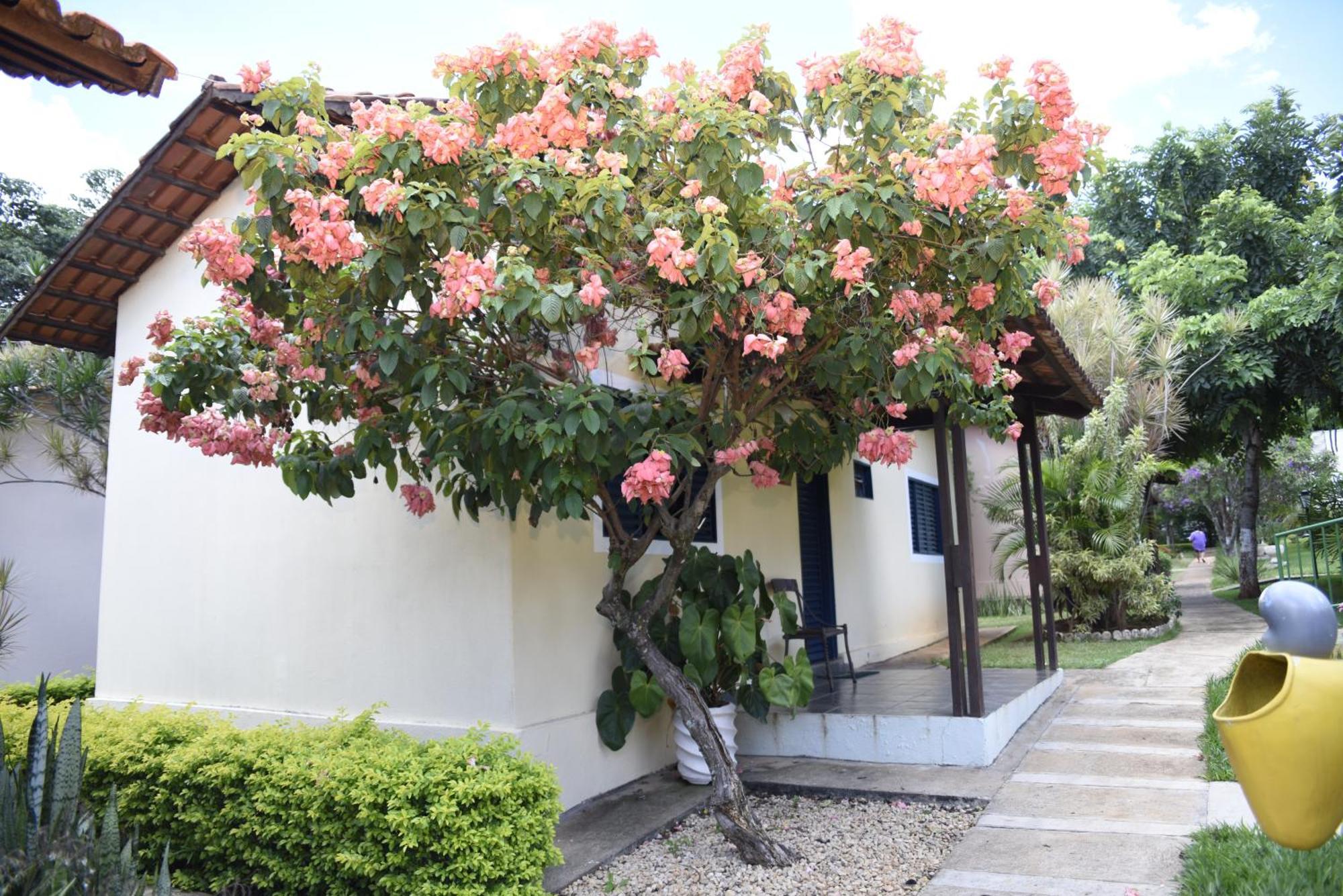 Rosa Spa E Pousada Aparecida de Goiânia Extérieur photo